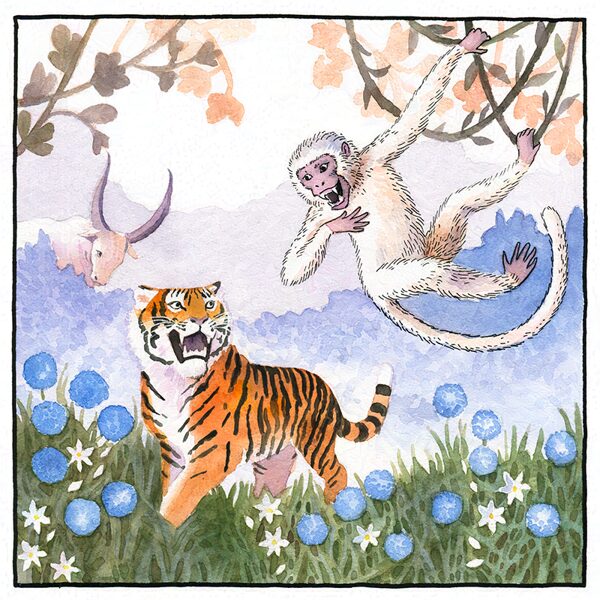 Monkey saying she's better than the tiger