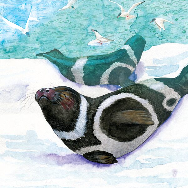 The invisible mermaid