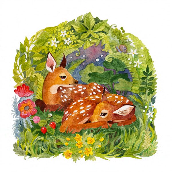 A pair of fawns falling asleep