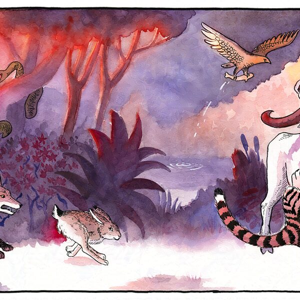 Naktī zvēri vairs neuzvedās kā pasakās