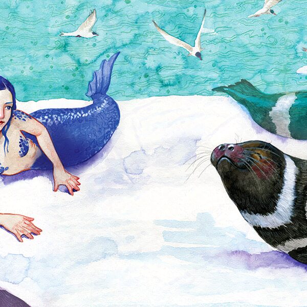 Nāriņa vēro roņus